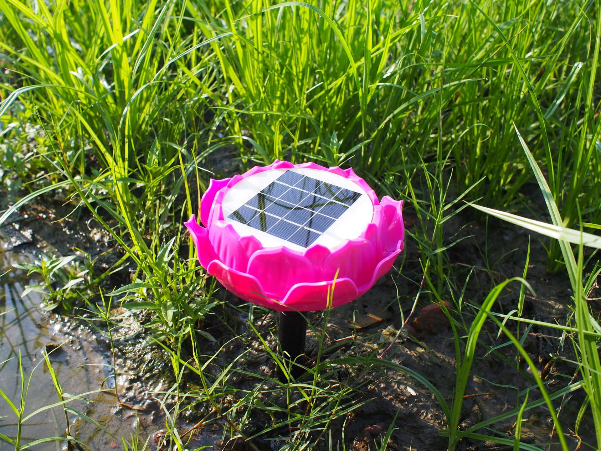 弘緣太陽能光明機