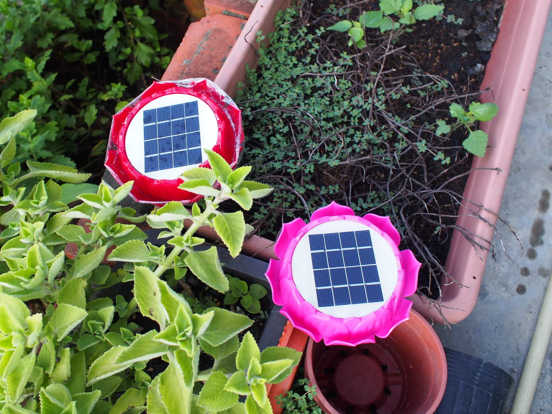 弘緣太陽能光明機