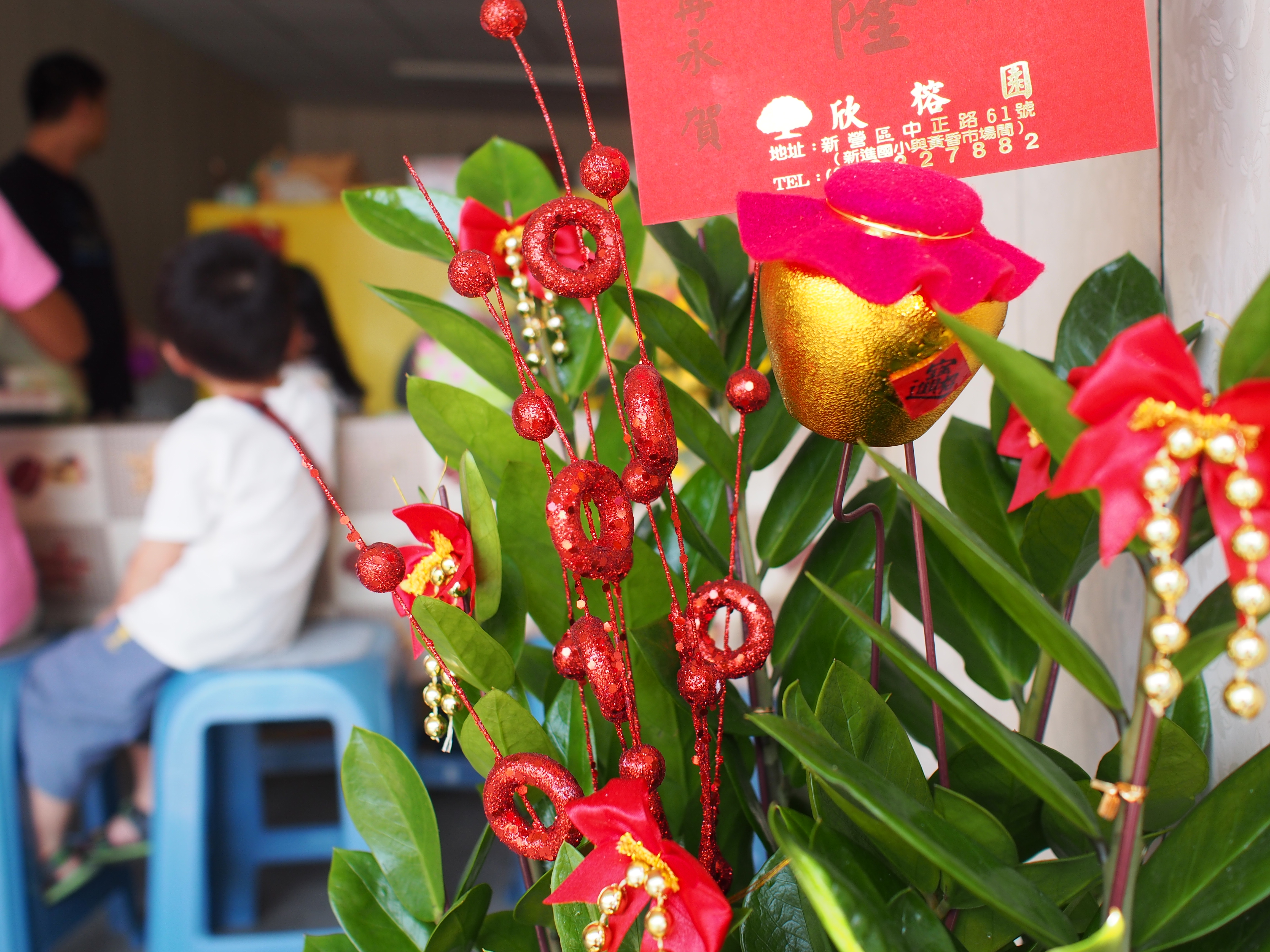 Olympus E-PL6 接 17mm F1.8 定焦鏡實拍