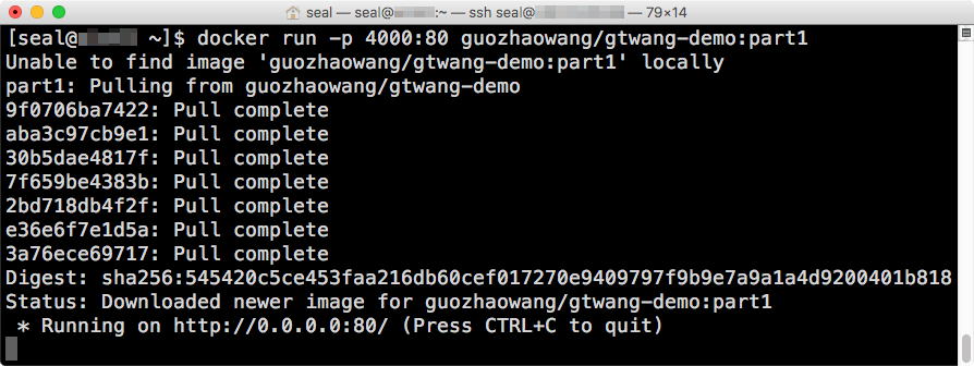 執行套件庫中的 Docker 影像