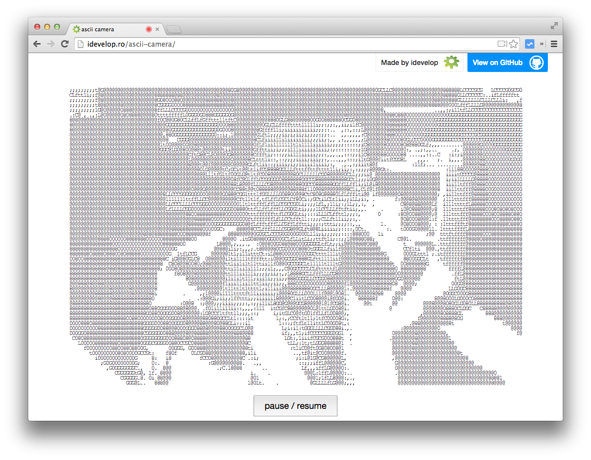 ascii-camera