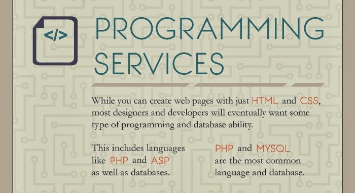 what-you-should-look-for-in-a-web-host-11