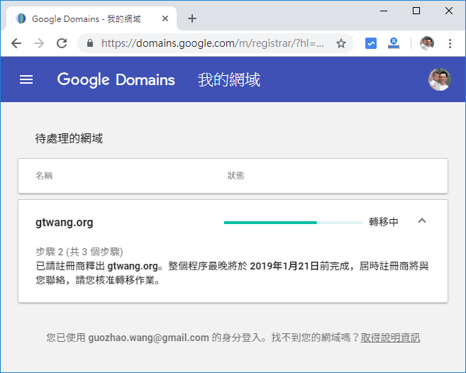 Google Domains 我的網域