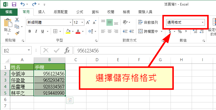 選擇儲存格格式