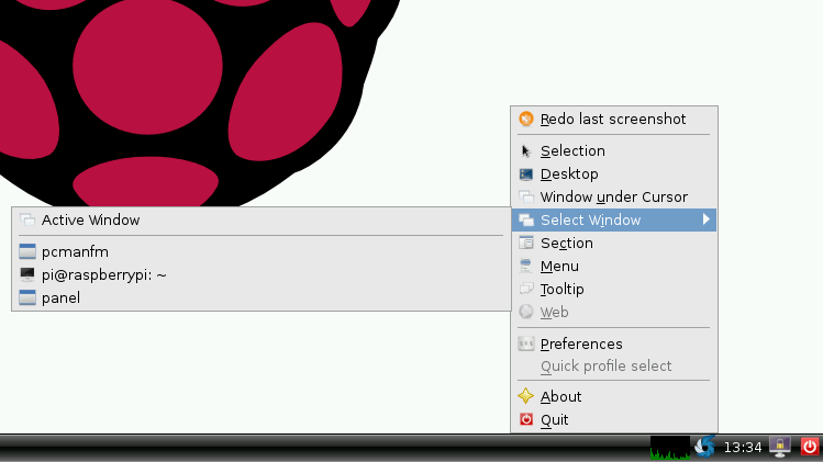 raspberry-pi-screenshot-3