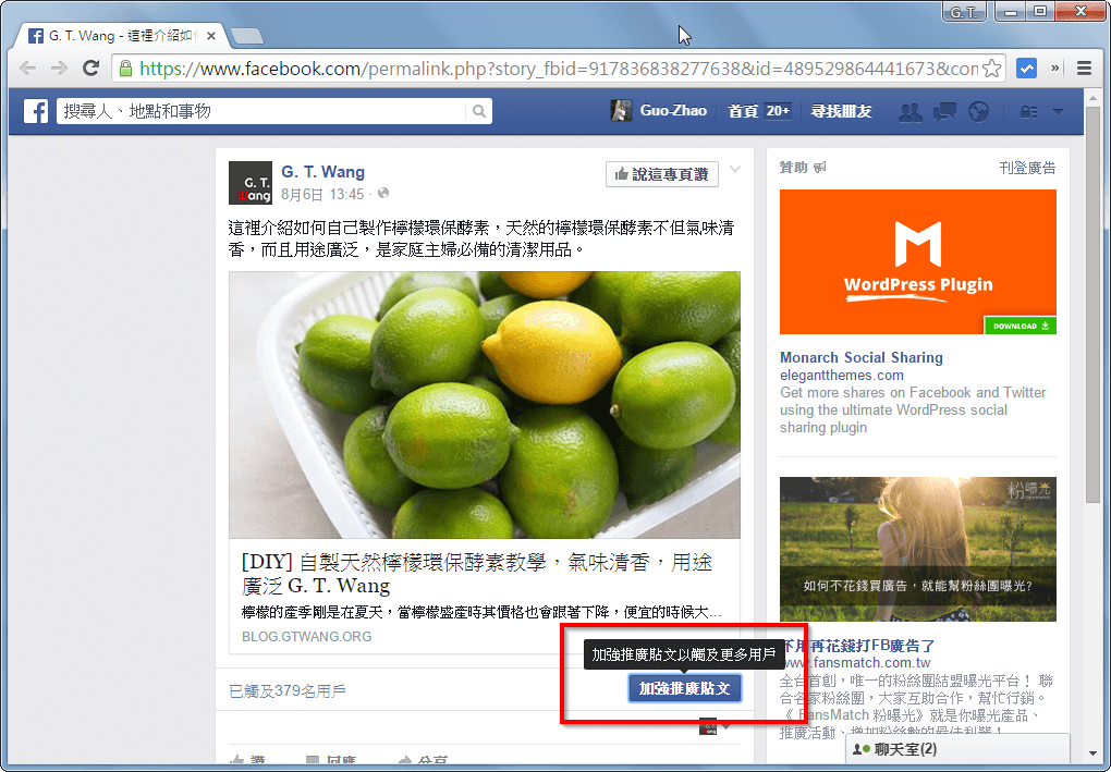 facebook-advertisement-1