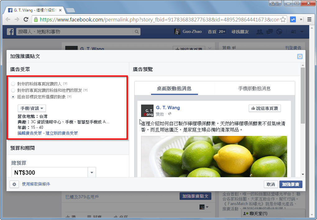 facebook-advertisement-2