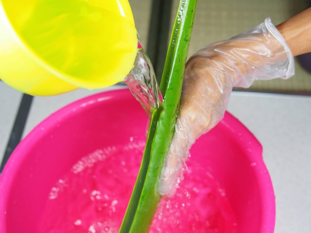 diy-handmade-lemon-aloe-cleaner-small-family-recipe-016