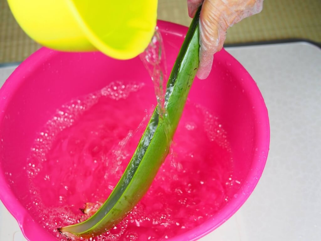 diy-handmade-lemon-aloe-cleaner-small-family-recipe-017