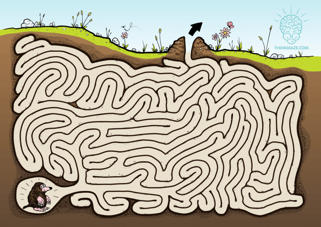 thinkmaze-mole-maze