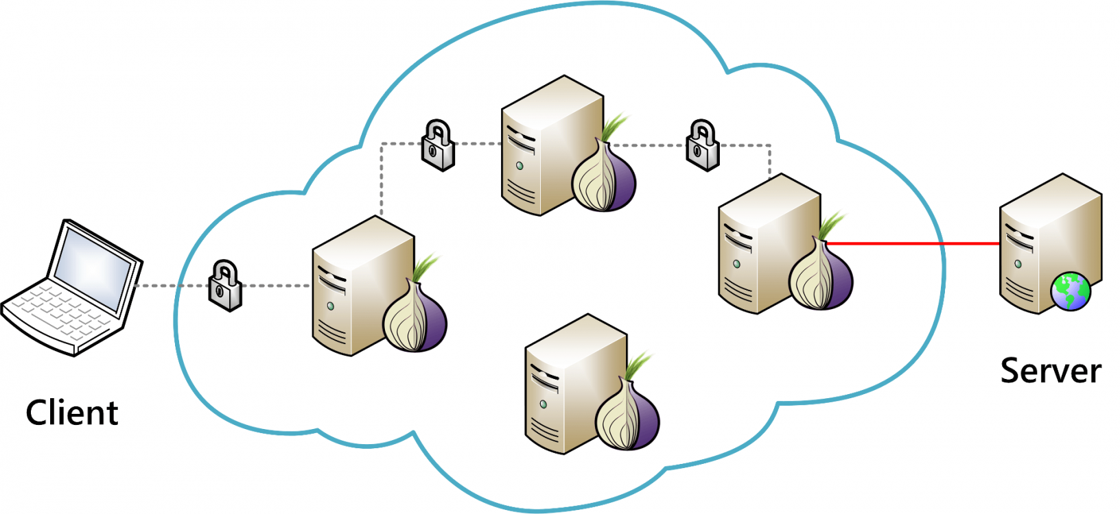 raspberry pi tor proxy lan