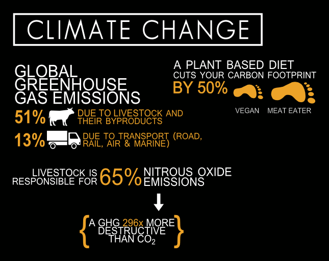 cowspiracy-Infographic-climate-change-1