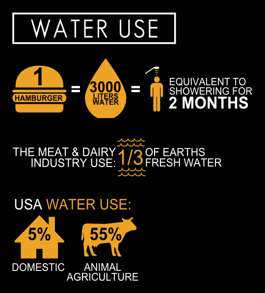 cowspiracy-Infographic-water-use-1