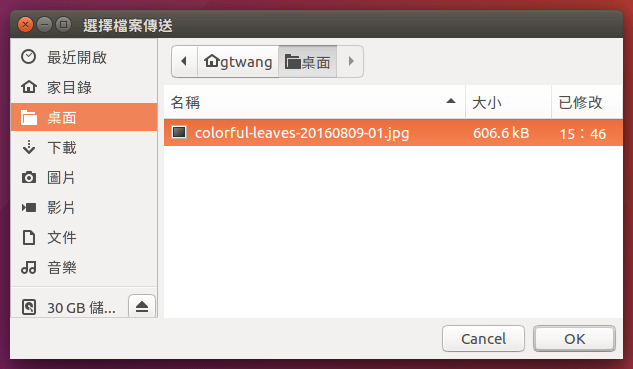 ubuntu-linux-file-transfer-via-bluetooth-tutorial-9